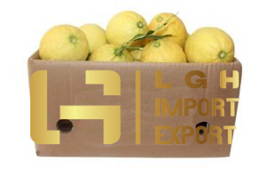 Turkish Lemon